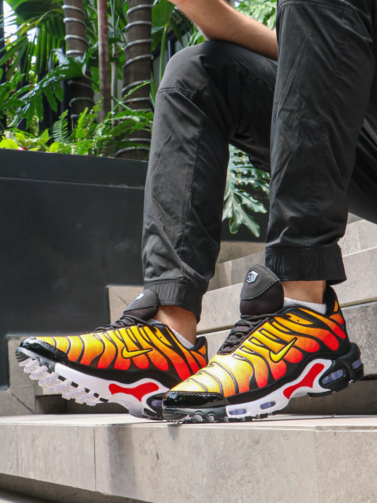Tn nike